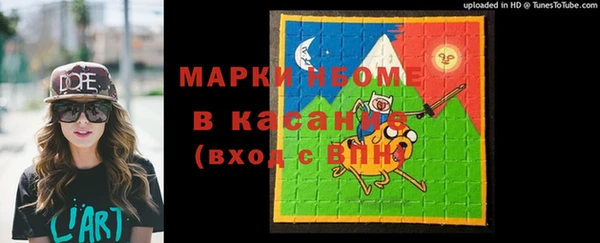 индика Алзамай