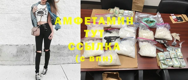 мдпв Ельня