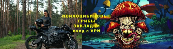 индика Алзамай