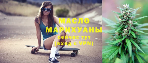 мдпв Ельня