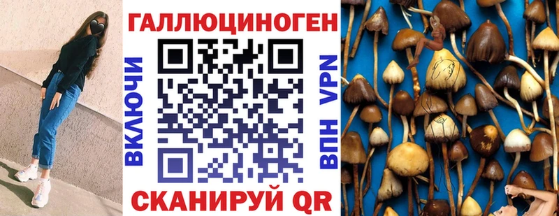 blacksprut онион  Комсомольск  Галлюциногенные грибы Magic Shrooms 